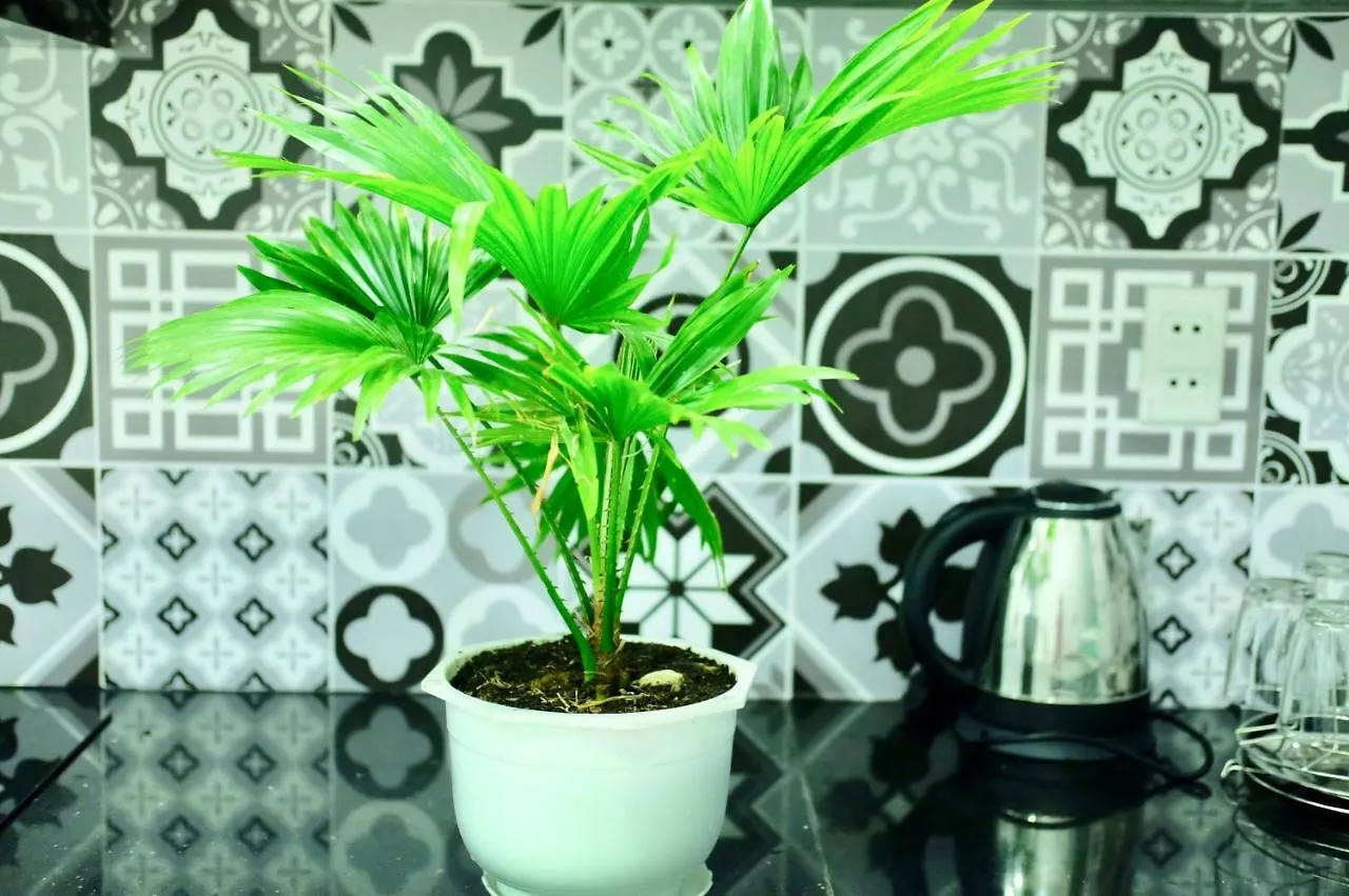 Stay In Nha Trang Apartment